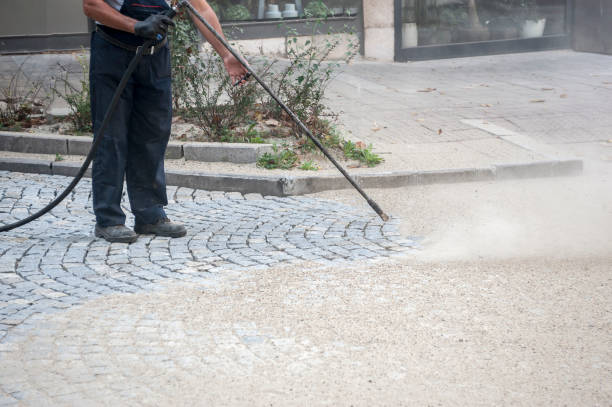 Best Restaurant Pressure Washing  in Carrizo Hill, TX