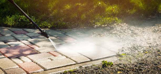 Trusted Carrizo Hill, TX Pressure Washing Services Experts